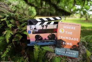 “Um Lugar Bem Longe Daqui”, adaptação do best-seller, ganha pôster e trailer